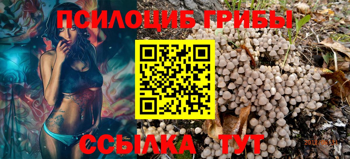 Галлюциногенные грибы мухоморы Бугуруслан